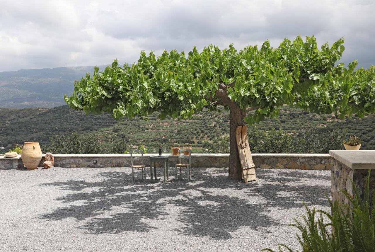 Amvikas Suites-Sitia Exterior photo